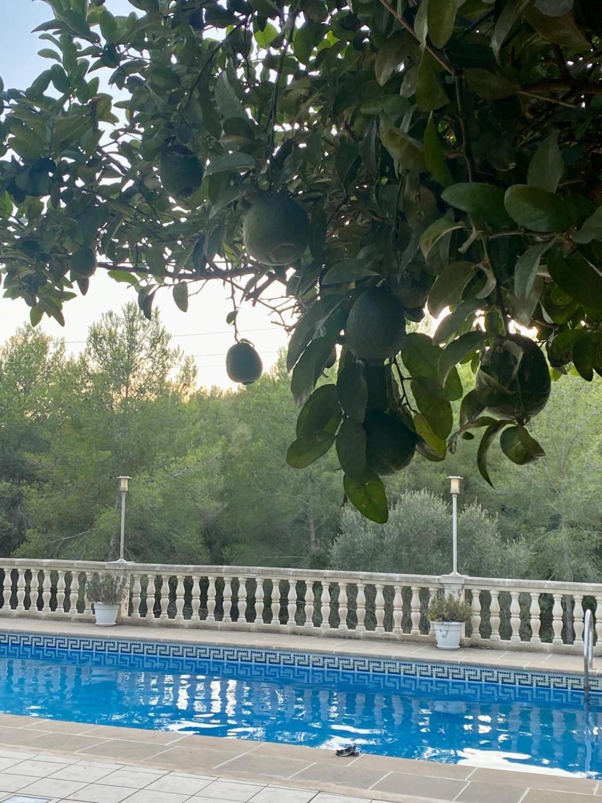 La Casa Dels Boscos Villa Tarragona Bagian luar foto